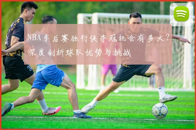 NBA季后赛独行侠夺冠机会有多大？深度剖析球队优势与挑战
