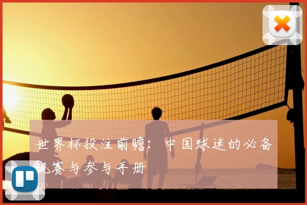 世界杯投注前瞻：中国球迷的必备观赛与参与手册