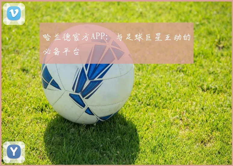 哈兰德官方APP：与足球巨星互动的必备平台